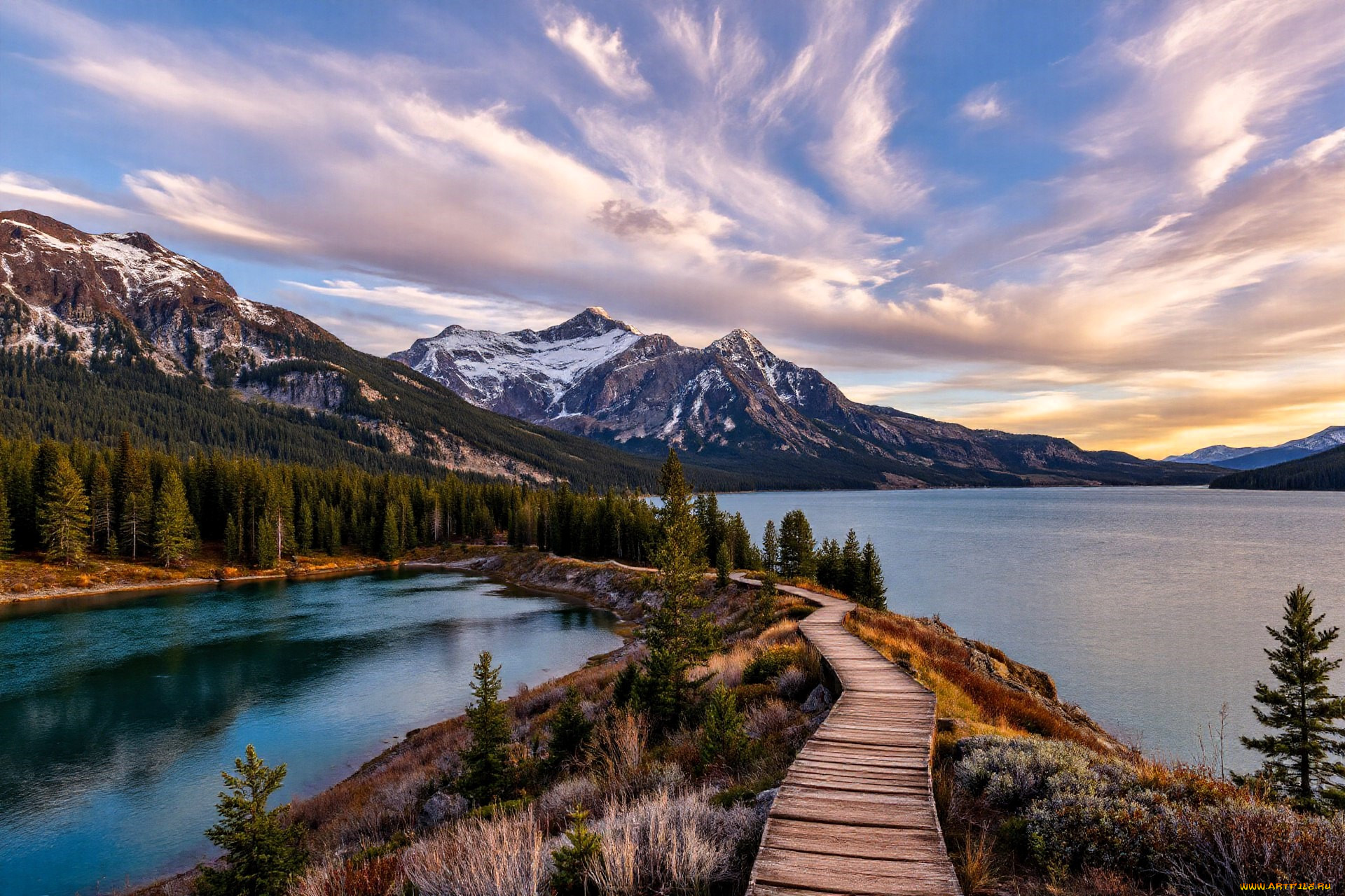 3 ,  , nature, , , , , , 